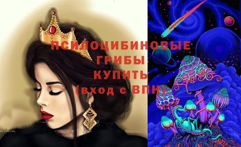 Псилоцибиновые грибы Psilocybe  Чердынь 